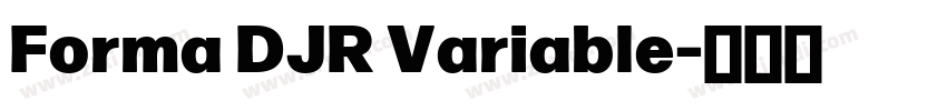 Forma DJR Variable字体转换